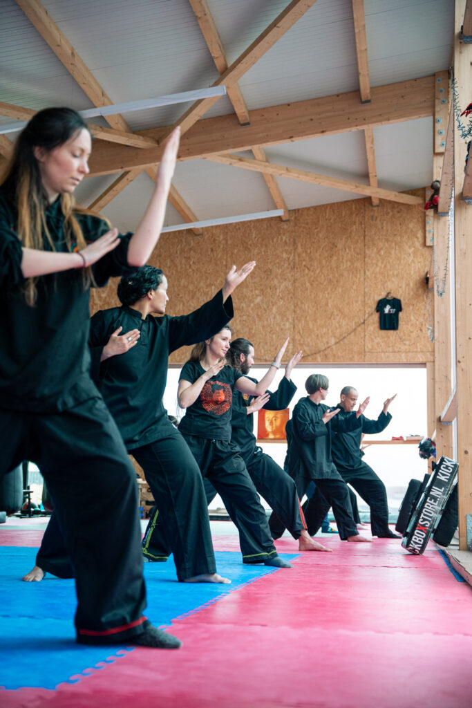 Leo_pencak silat f-7